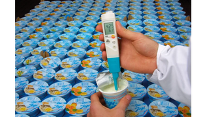 Testo 206-pH2 Digital pH Meter | pH/Temperature Meter for Semi-Solid & Viscous Media