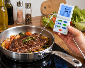 ACETEQ DT-9900 Digital Thermometer with External Probe