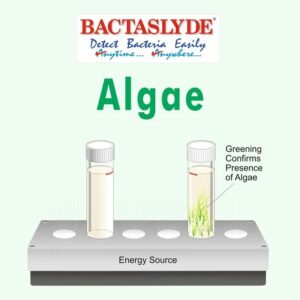 BACTASLYDE Algae Test Kit, 5 Quantatative Test of Algae With Energy Source AE125